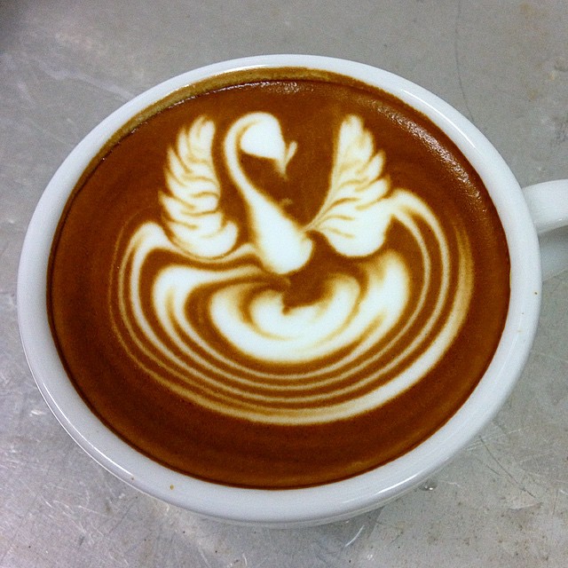 phoenix swan latte art